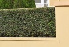 Central Plateauprivacy-fencing-28.jpg; ?>